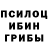 Псилоцибиновые грибы прущие грибы Weverton Monteiro