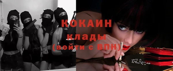 ПСИЛОЦИБИНОВЫЕ ГРИБЫ Краснотурьинск