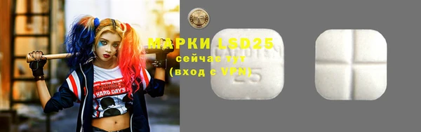 ПСИЛОЦИБИНОВЫЕ ГРИБЫ Краснотурьинск