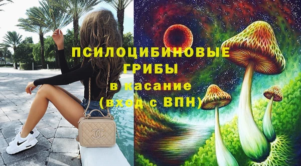 ПСИЛОЦИБИНОВЫЕ ГРИБЫ Краснотурьинск