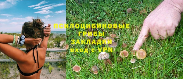 ПСИЛОЦИБИНОВЫЕ ГРИБЫ Краснотурьинск