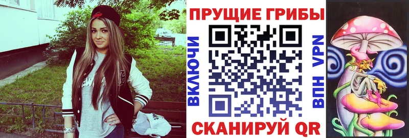 Псилоцибиновые грибы Psilocybine cubensis  Камышин 