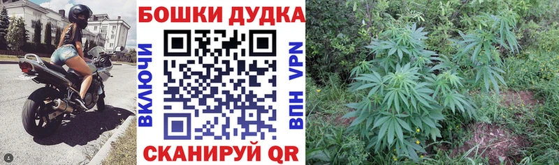 Марихуана Bruce Banner гидра как войти Камышин